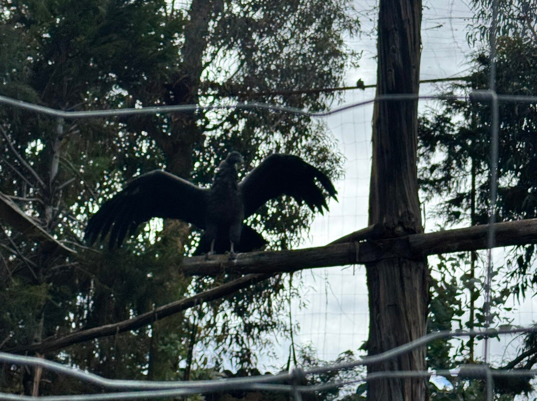 MACHUPICCHU PERÙ JOURNEYS. SPECIALIST TOURS BY EXPERIENCED LOCALS-库斯科必去景点