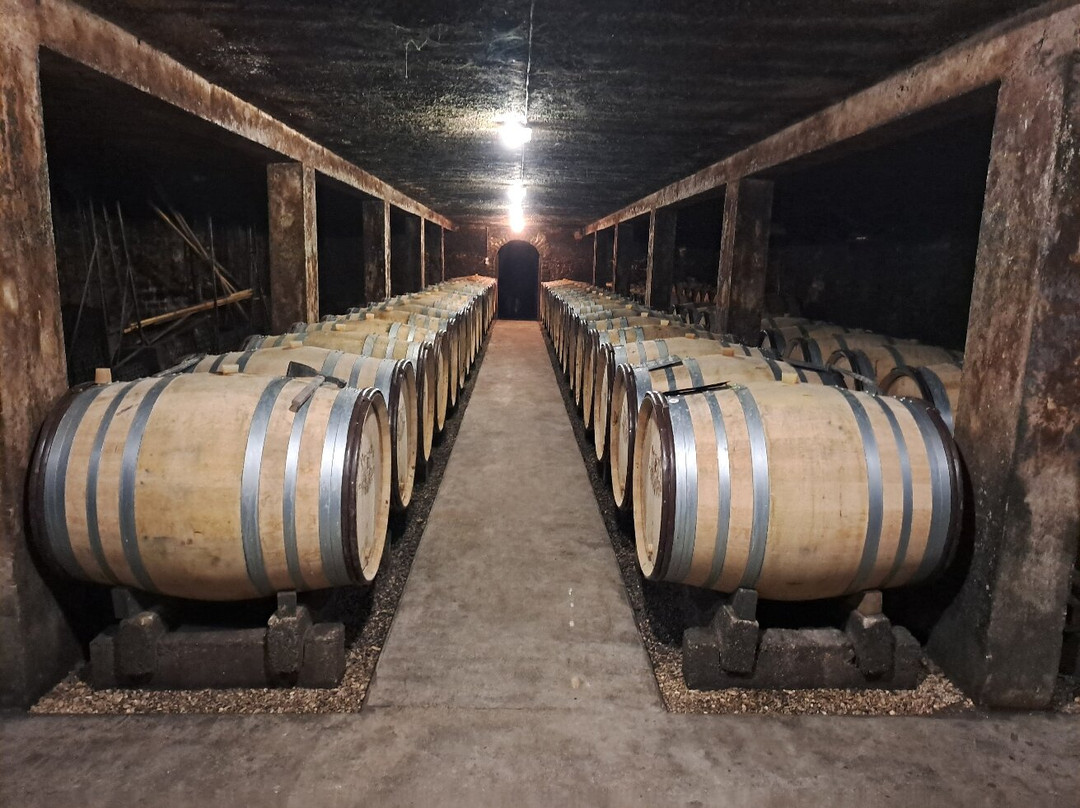 Domaine Maillard Père Et Fils