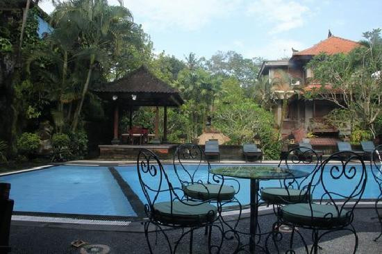 阿提尼别墅2主图