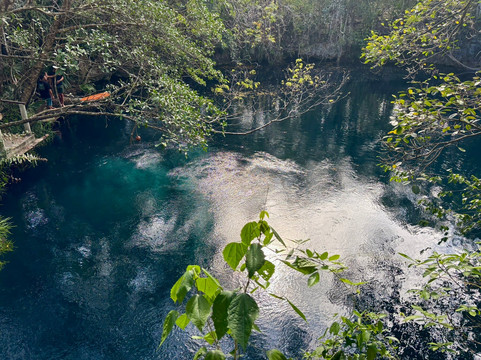 Flying Fish Tulum-图伦必去景点