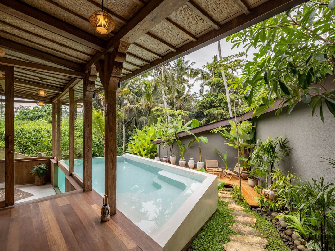 Casa Pohon Ubud主图