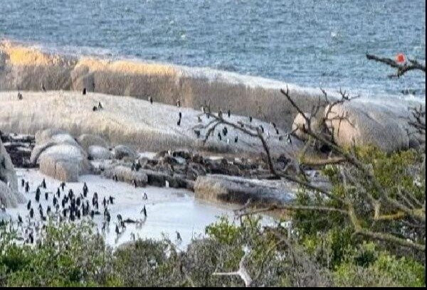 Tintswalo Boulders主图