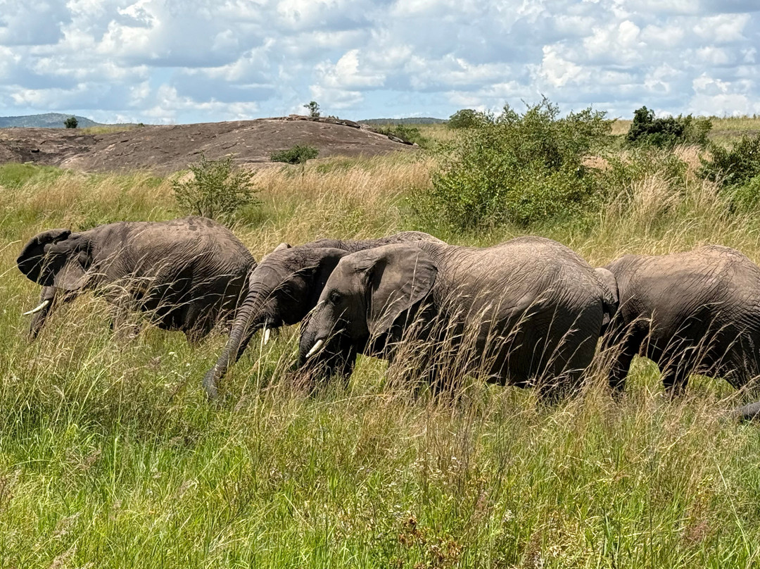 Elohim Tours & Travel-纳库鲁必去景点
