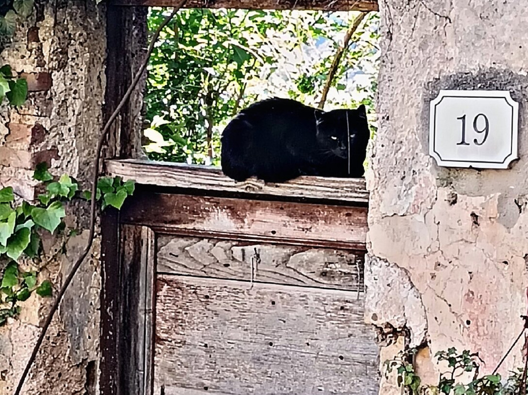 Borgo Medievale di Fiuggi-菲乌吉必去景点