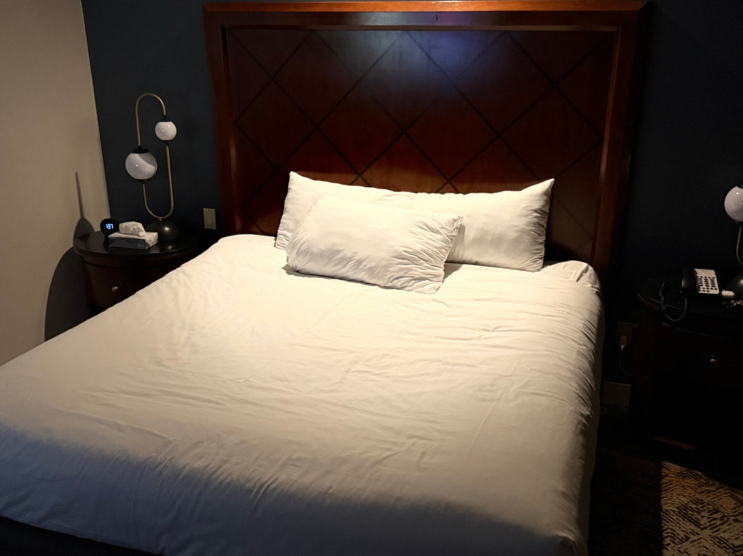 伯锡尔城马蹄铁酒店主图