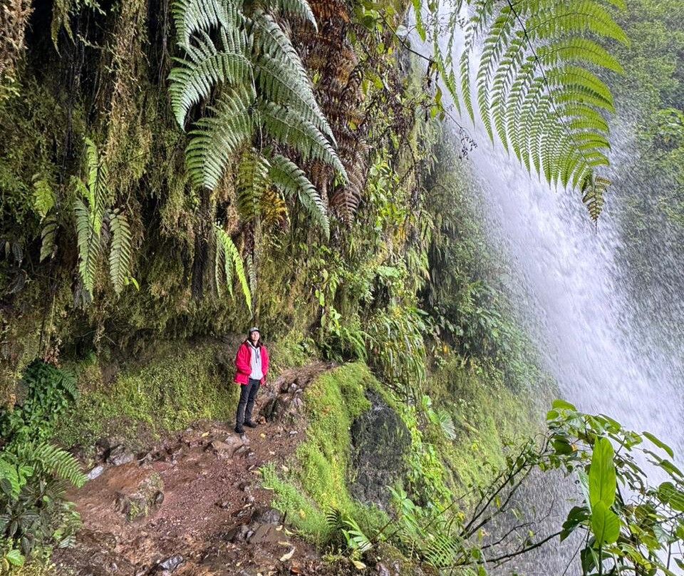 Paticas Travel-圣何塞必去景点
