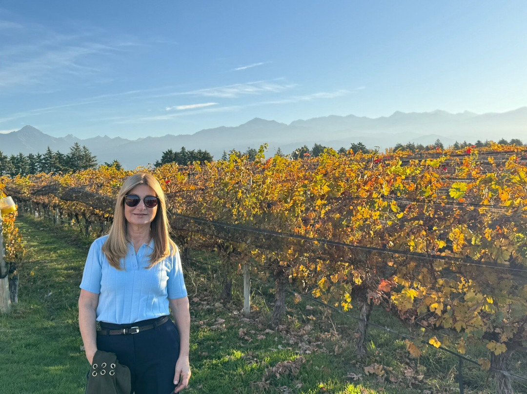 Bodega Andeluna-Tupungato必去景点