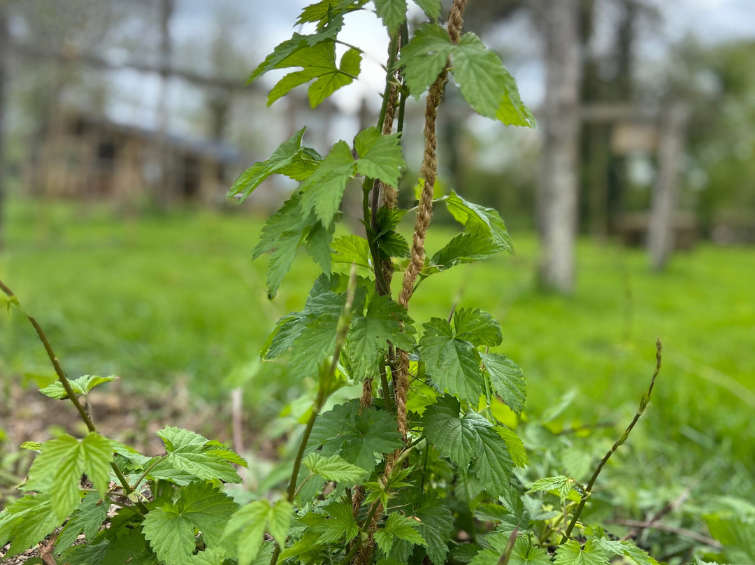 L'avalée De La Kreuze-Anzeme必去景点