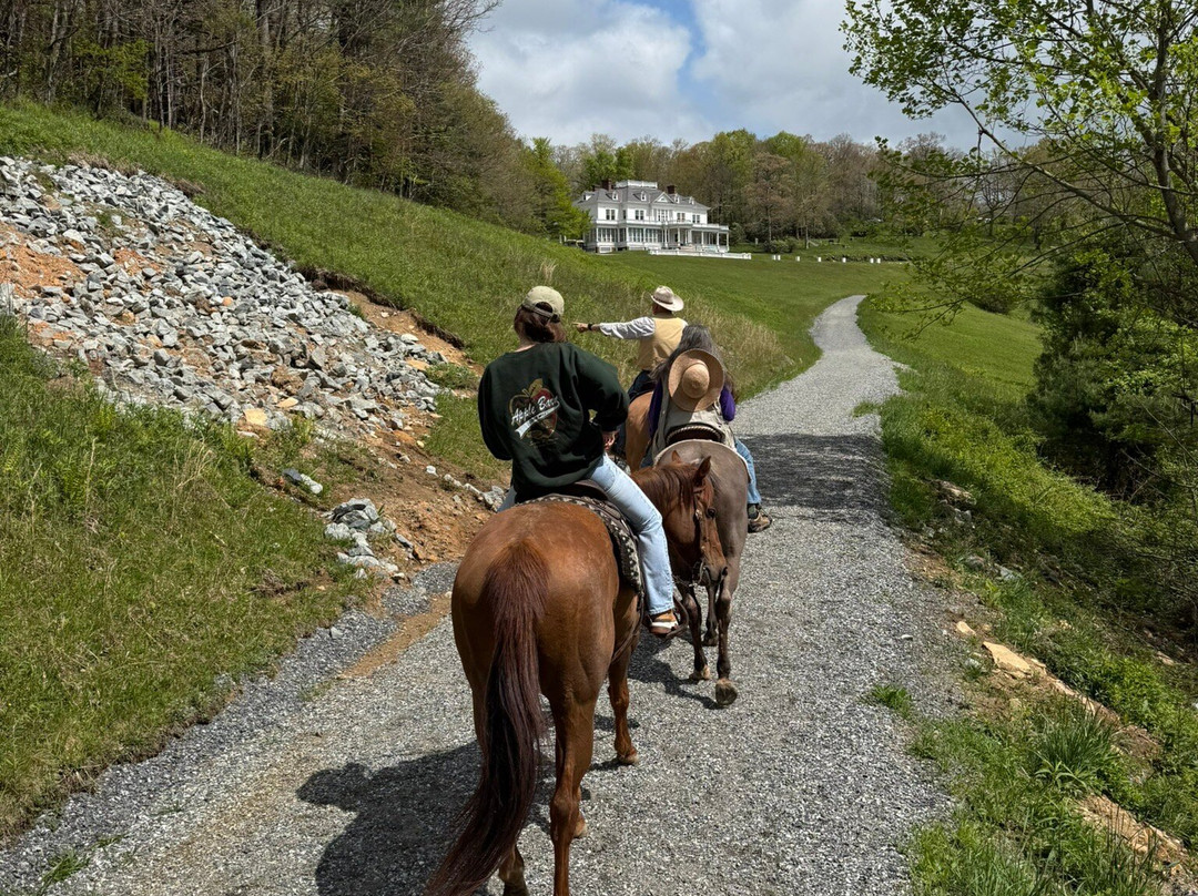 Vx3 Trail Rides-布洛英罗克必去景点