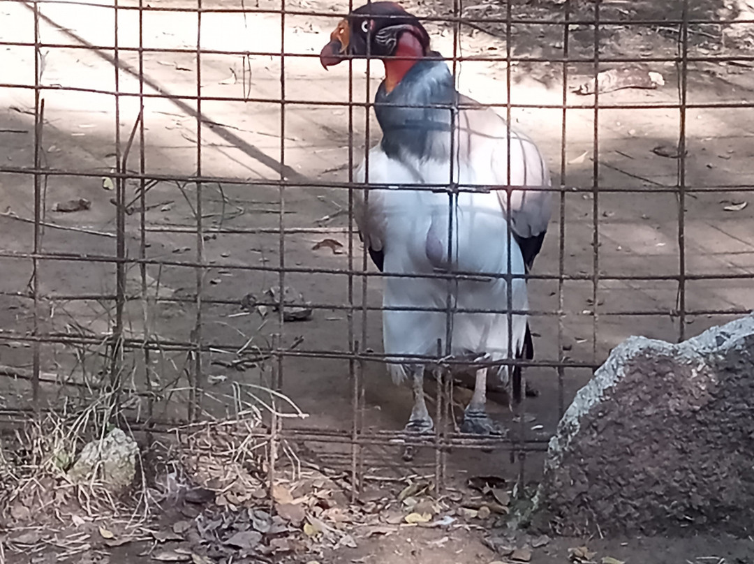 Eco de América-América必去景点