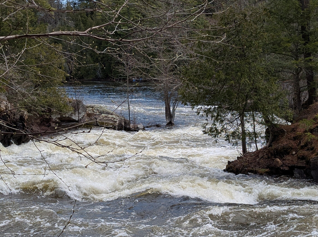 Moonstone Manor Bed & Breakfast主图