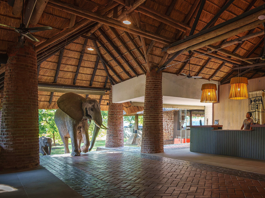 Mfuwe Lodge - The Bushcamp Company