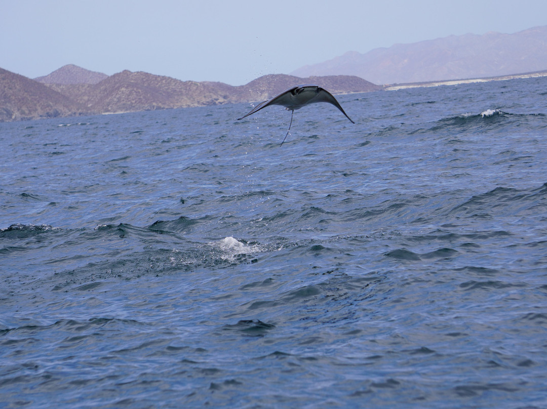 The Hook Experiences-拉巴斯必去景点