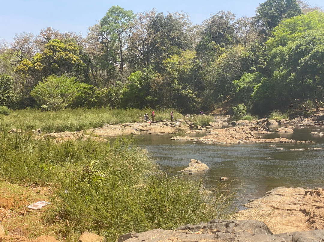 Ayurveda Yoga Villa Group Of Retreat Centres And Hospitals主图