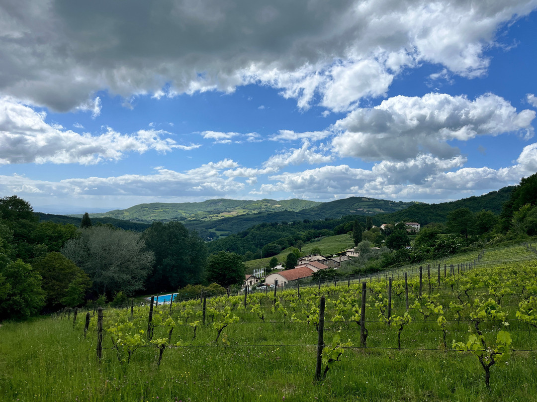 Agriturismo Le Case - Residenza Di Campagna主图
