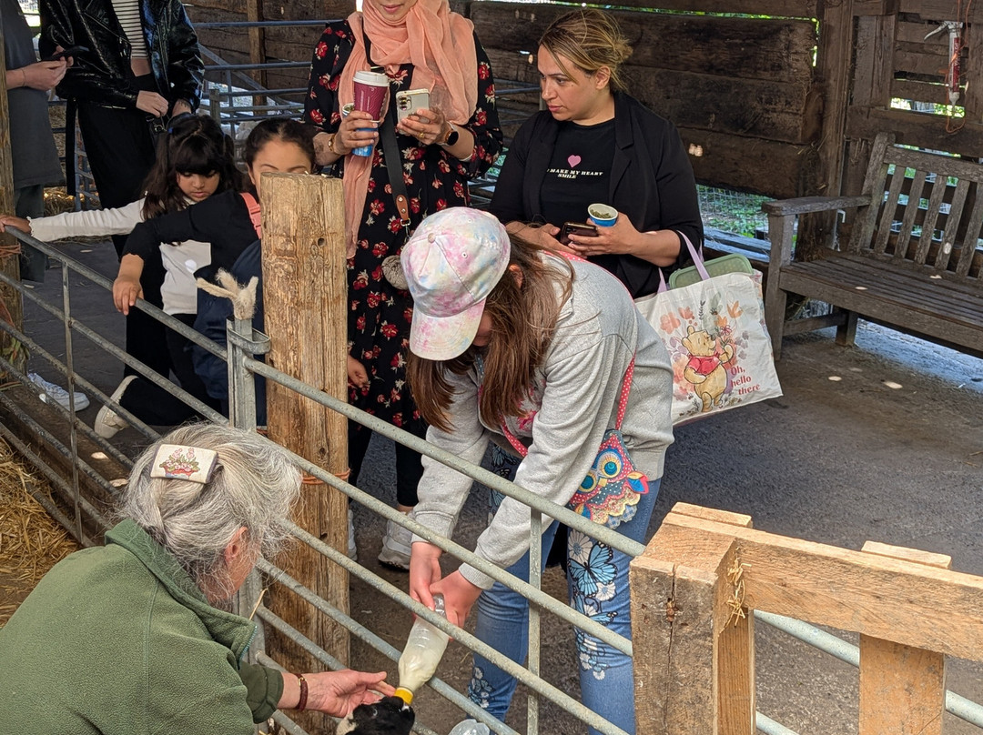 Boydells Dairy Farm-Wethersfield必去景点