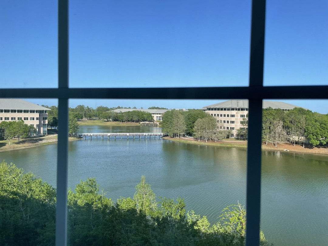 杰克逊迪尔伍德公园靛蓝酒店主图