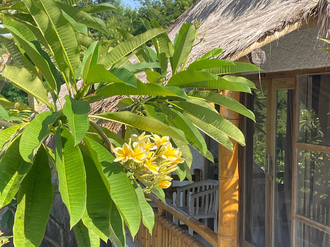 Mohini Komodo Resort主图