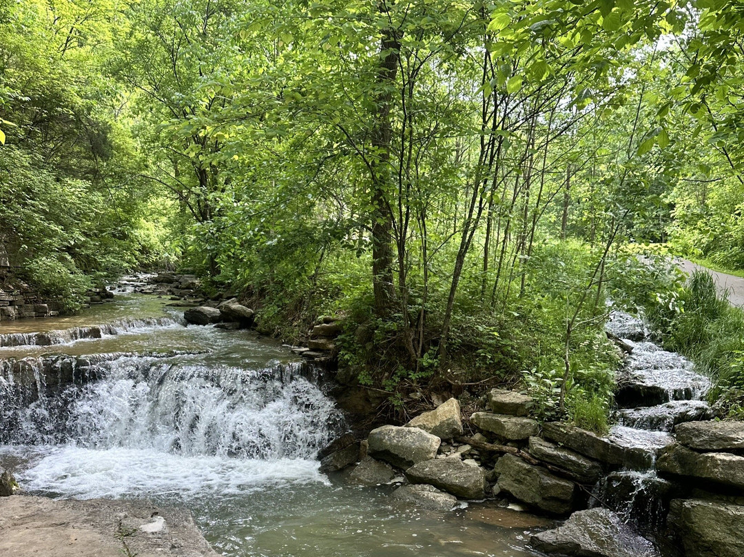 Cove Springs Park-法兰克福必去景点