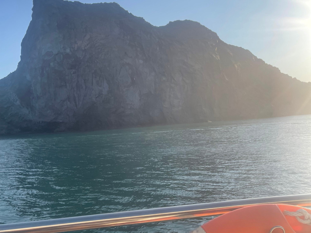 Sunbird Travel Agency景点图片
