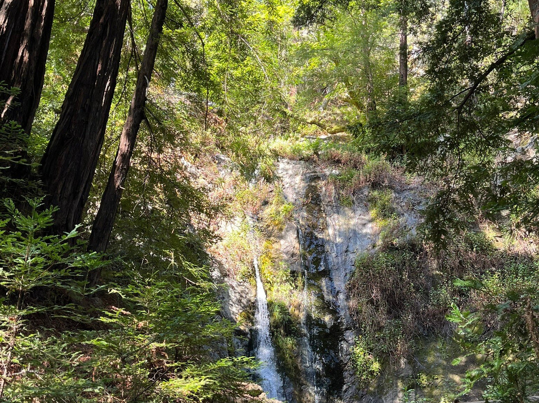 Pfeiffer Big Sur State Park-大苏尔必去景点