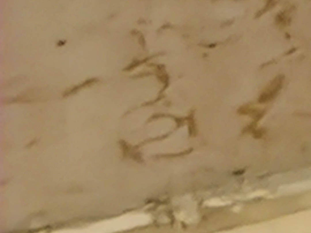 伊潘内玛海滩酒店主图