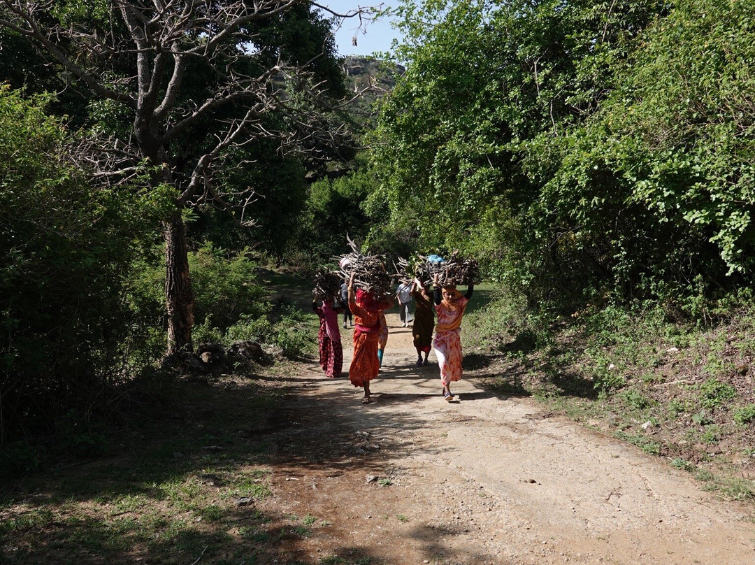 Hiking & Trekking Company Mount Abu景点图片