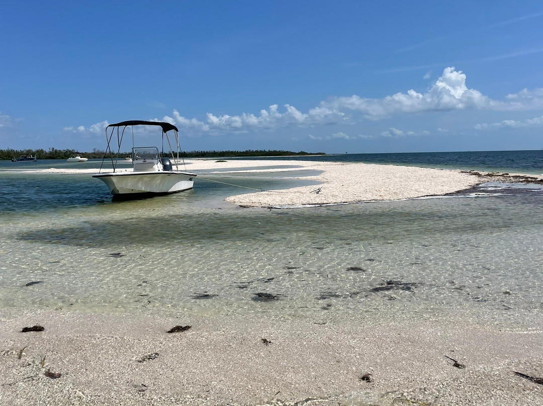 Jensen's Marina Boat Rentals-俘虏岛必去景点