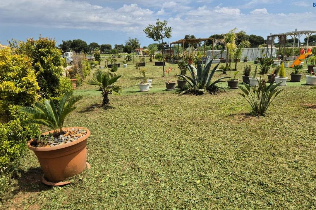 San Marzano di San Giuseppe酒店住宿-B&B L'Albero d'Oro