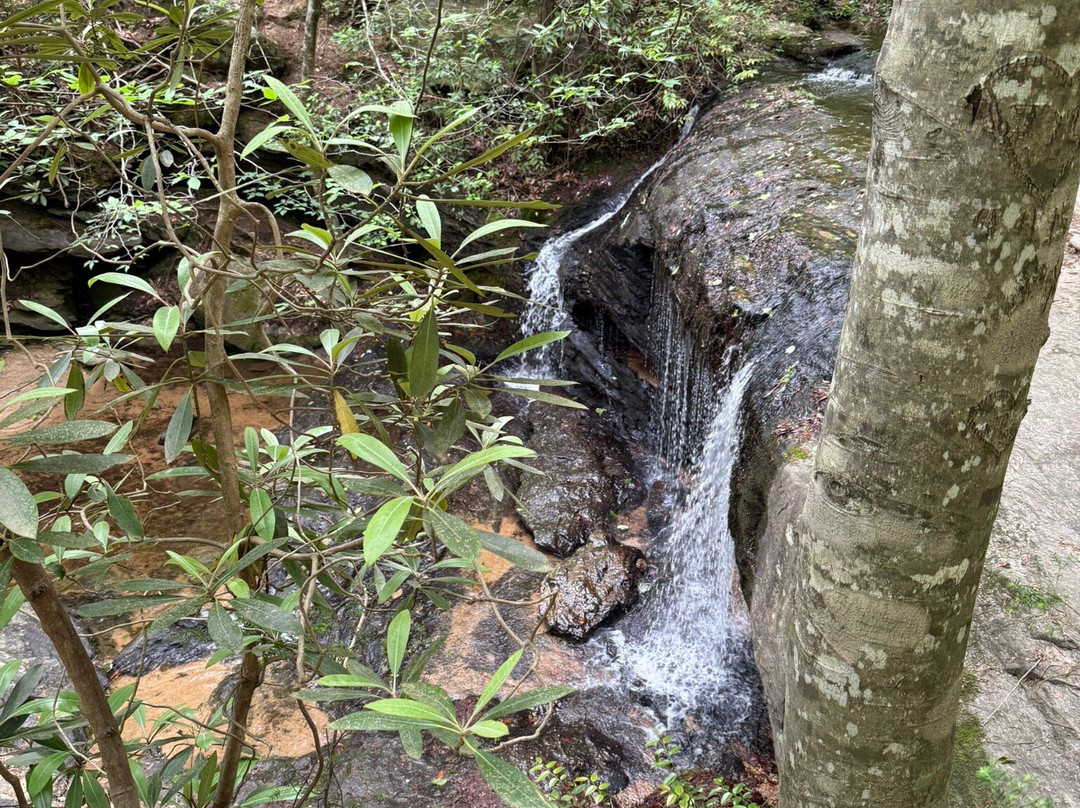 Wildcat Wayside Mountain Bridge Wilderness Area景点图片