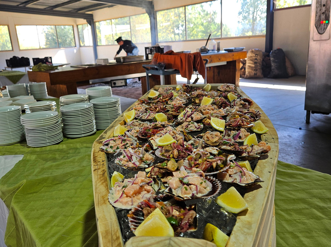 Termas de Quinamavida主图