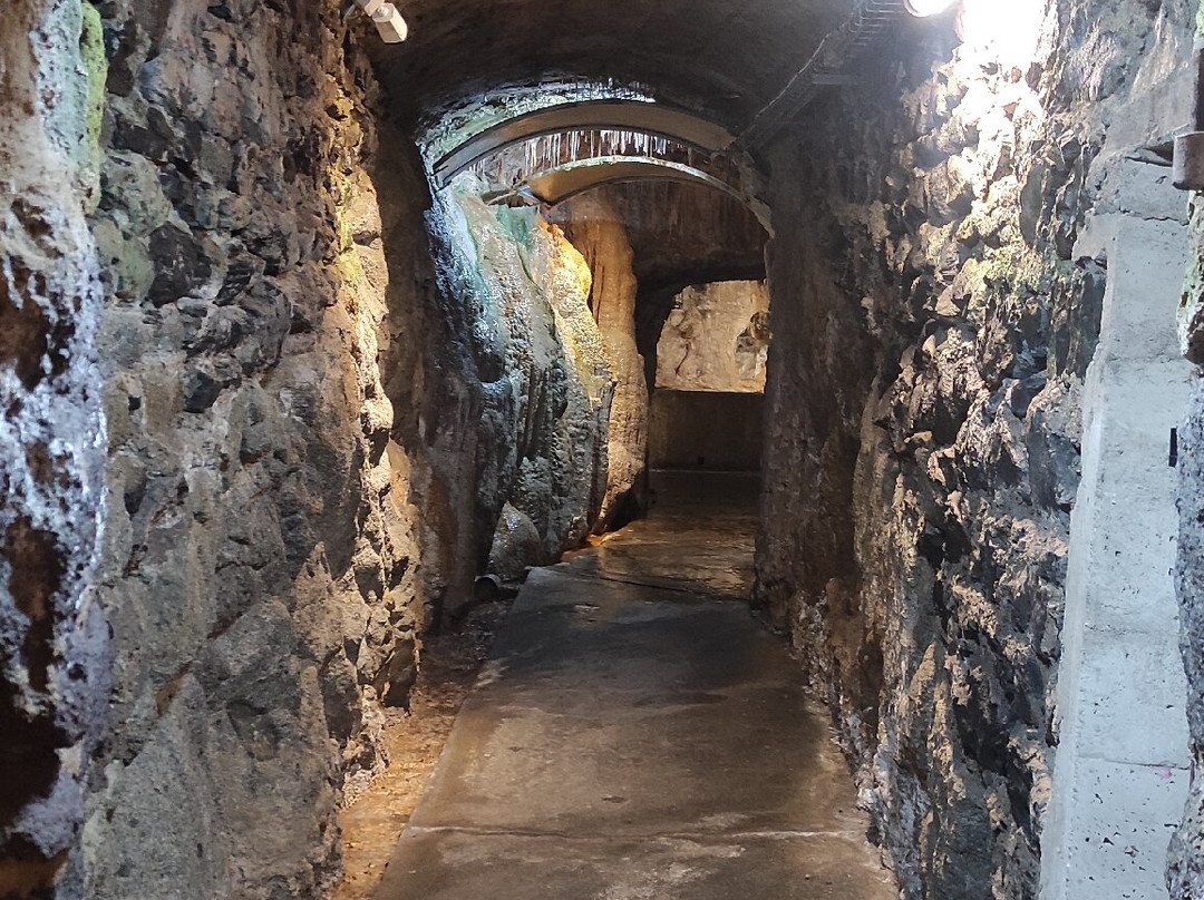 Fontaines Petrifiantes de Saint-Nectaire景点图片
