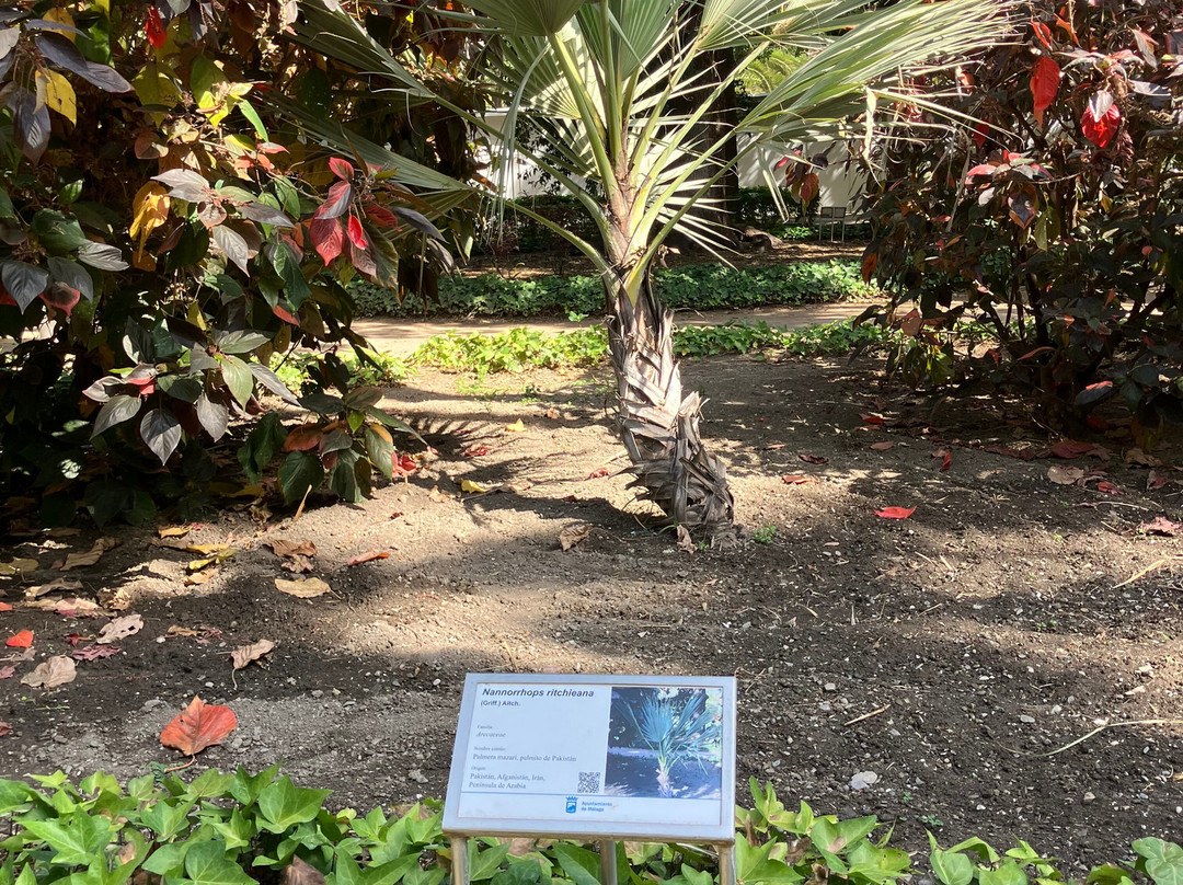 Parque de Malaga景点图片