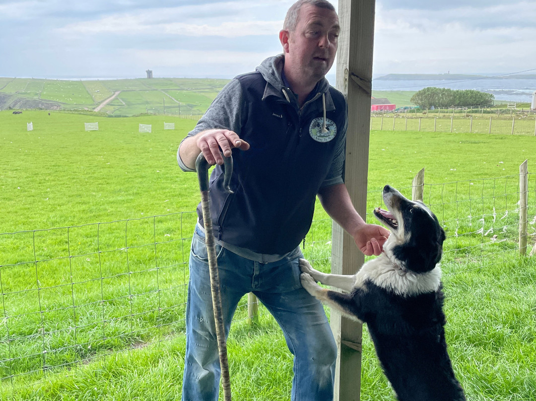 Away to Me Sheepdog Trial Demonstrations-Malin Beg必去景点