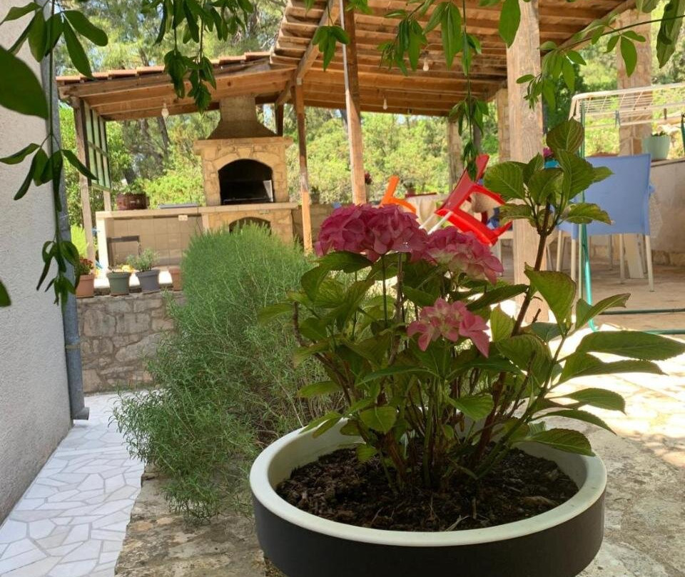 Guest House Alek