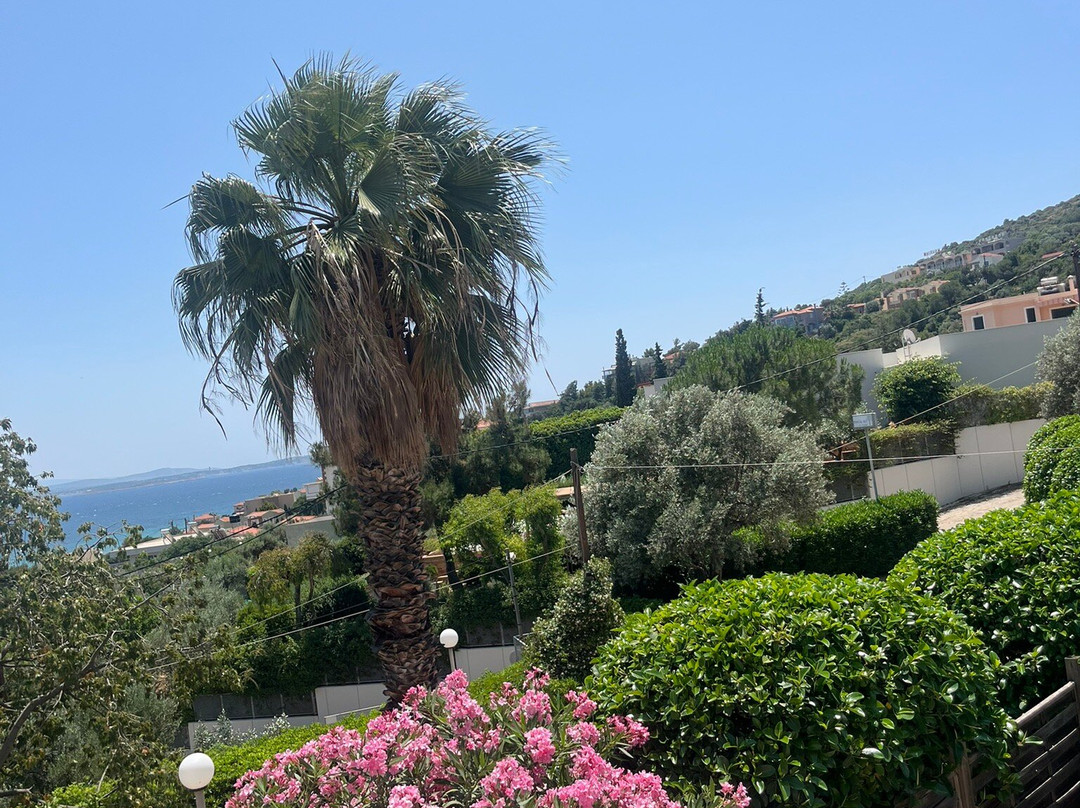 Melia Sol Art Studios主图