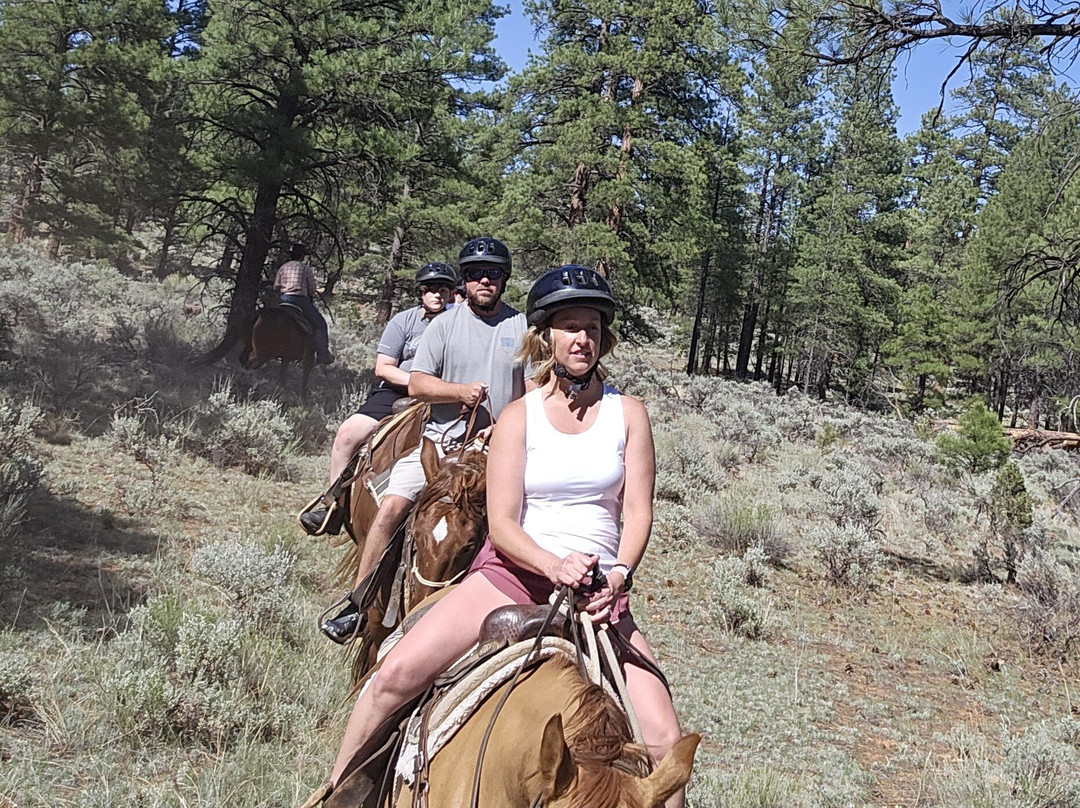 Grand Canyon Trail Rides-图萨扬必去景点