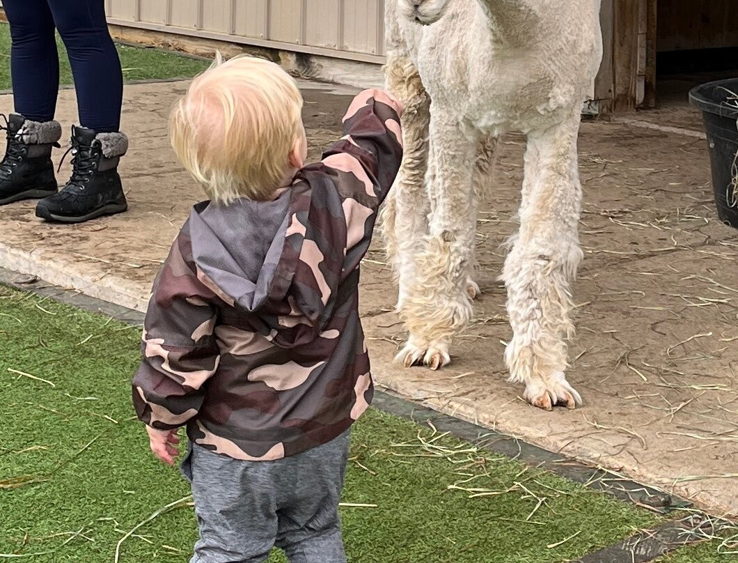 Eagle Eye Farm-River Falls必去景点