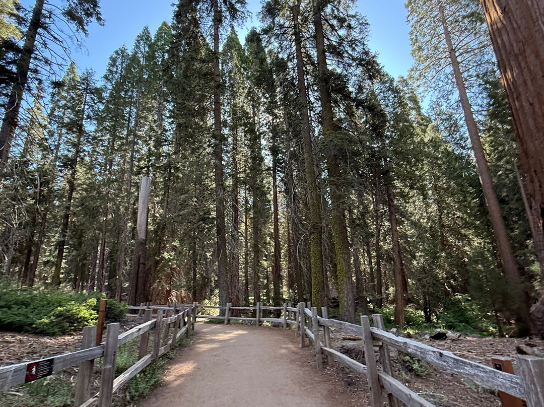 Grant Grove-红杉&国王峡谷国家公园必去景点