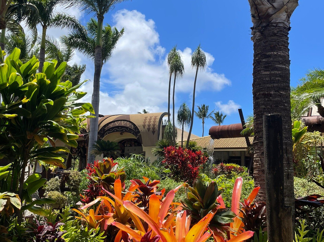 茂宜热带平原-怀露库必去景点