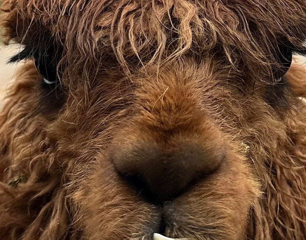 Peru Private Tours-库斯科必去景点