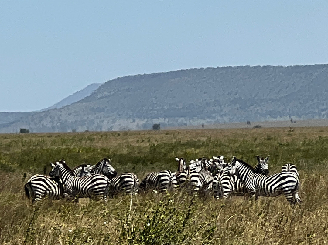 Cruize Wild Safaris-Iringa必去景点