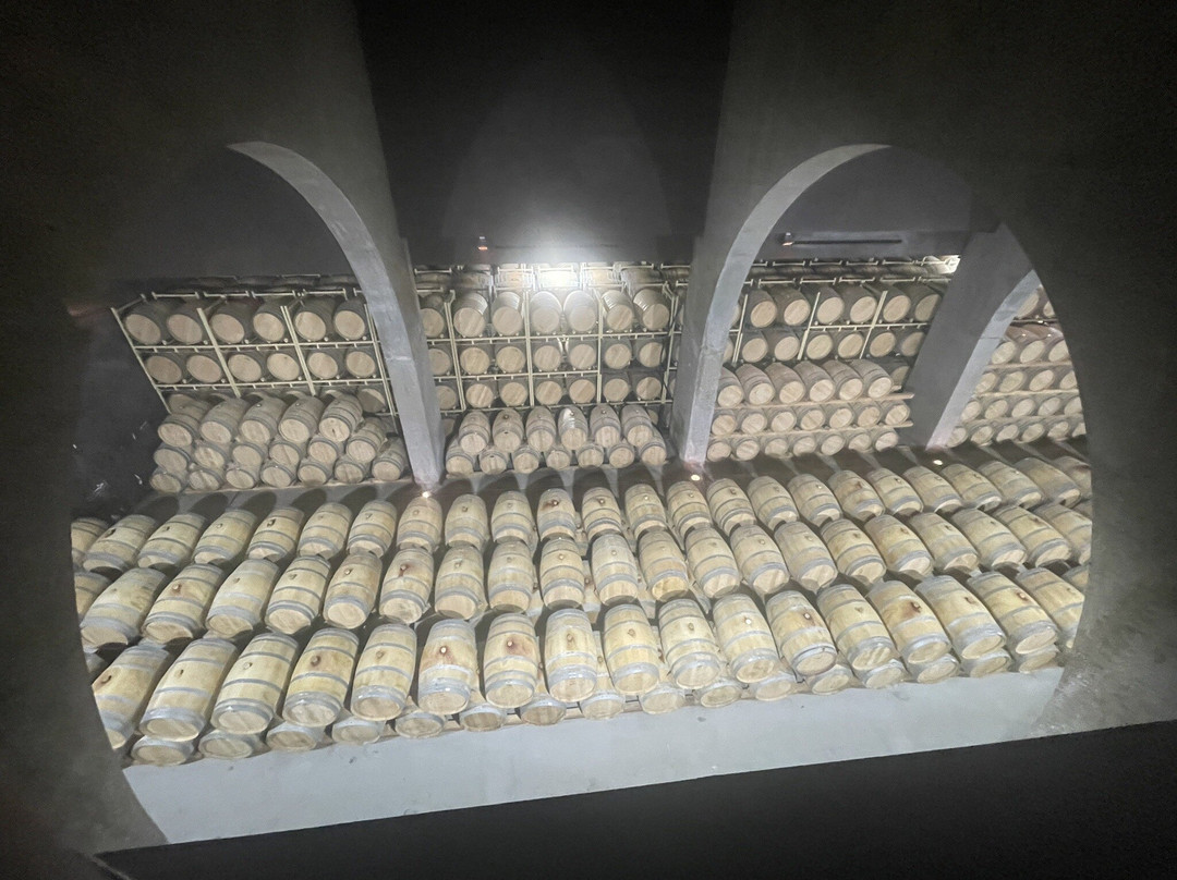 Pago de Los Capellanes-Pedrosa de Duero必去景点