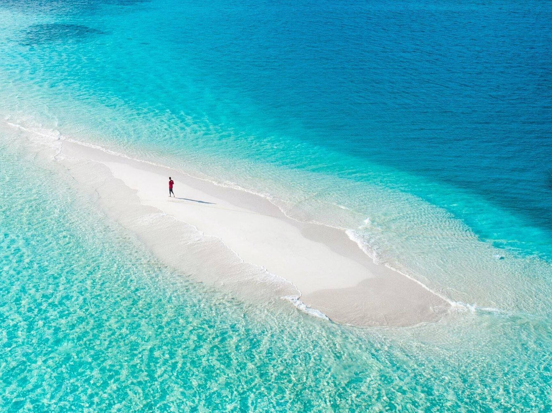 Thoddoo Marine Excursion-图杜岛必去景点