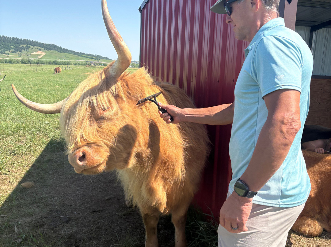 Black Hills Highlands-Spearfish必去景点