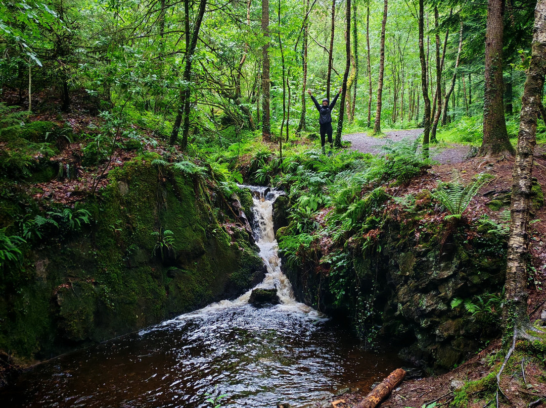 Kirroughtree - 7stanes-Newton Stewart必去景点