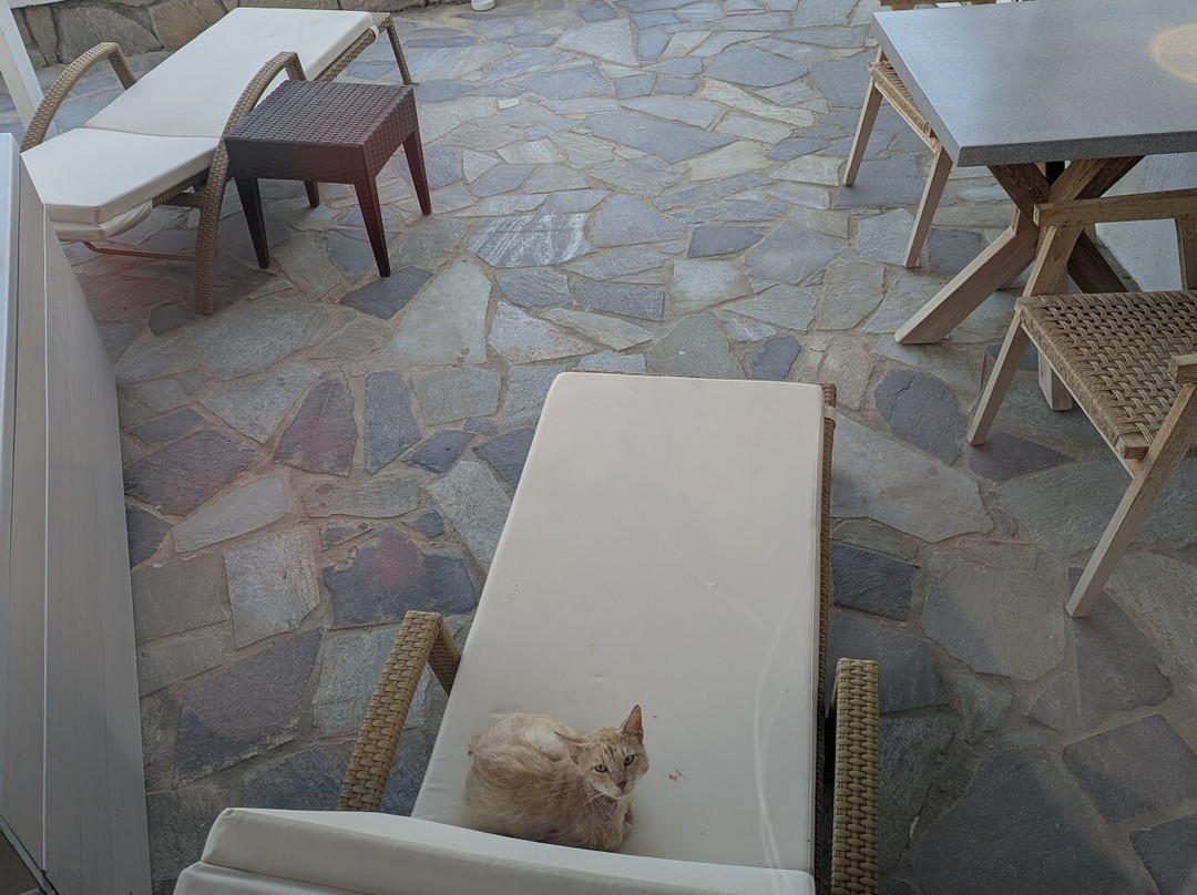 Santa Maria Village Resort & Spa主图