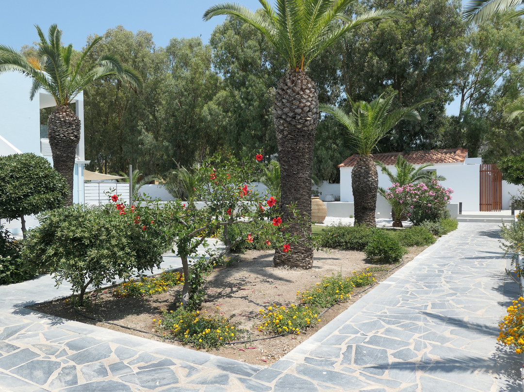 Kouros Seasight主图