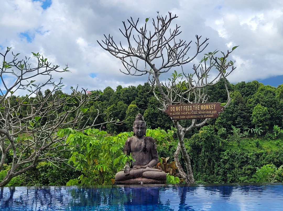 香缇天然全景酒店主图