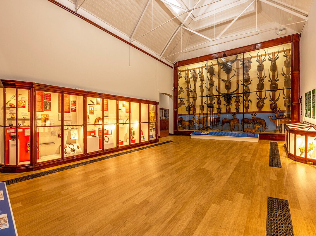 The Powell-Cotton Museum-Birchington必去景点